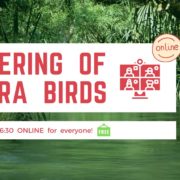 online TB gathering